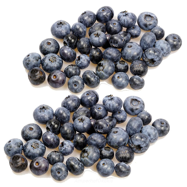 Produktfoto zu Heidelbeeren 250g in der Schale