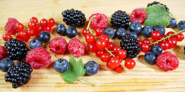 Beerenvielfalt