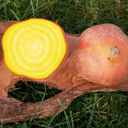 KI generiert: Zwei Rote Bete, eine ganz und eine aufgeschnitten, auf einem Stück Holz im Gras.
