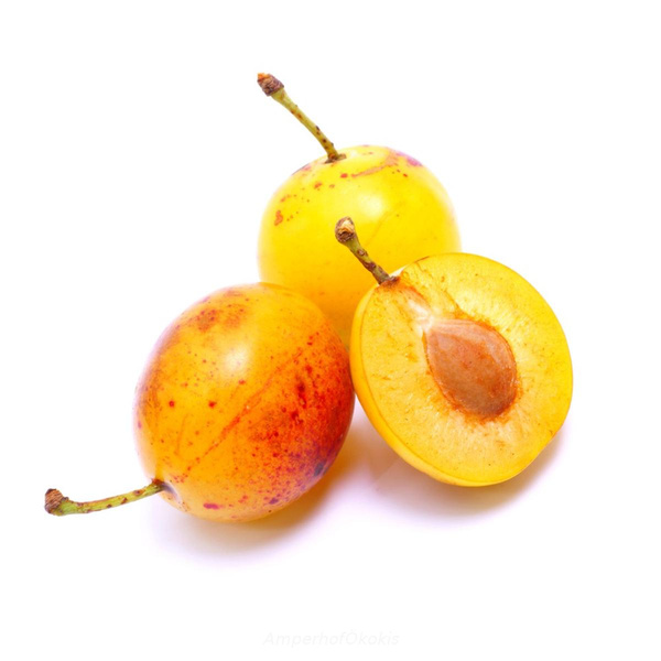 Produktfoto zu Reineclauden Doree ca. 300g