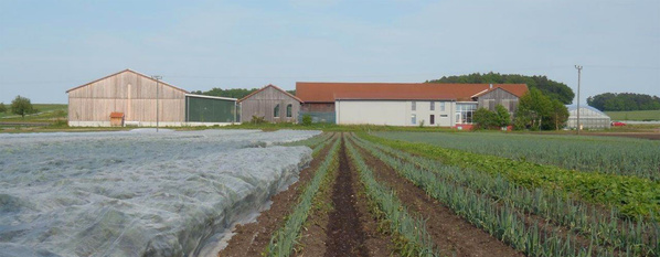 Der Hof liegt bei Schrobenhausen