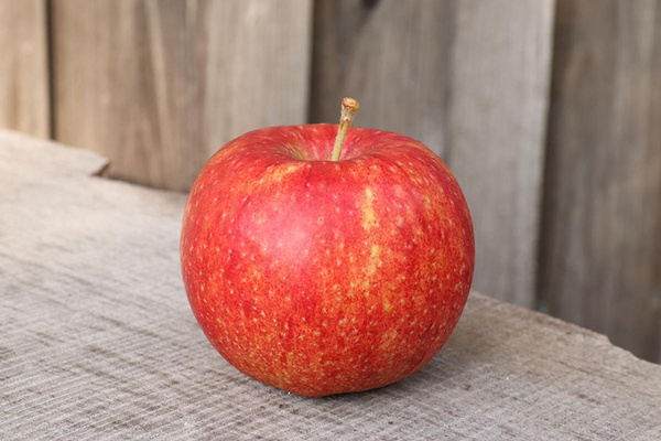 Produktfoto zu Apfel Roter Altländer