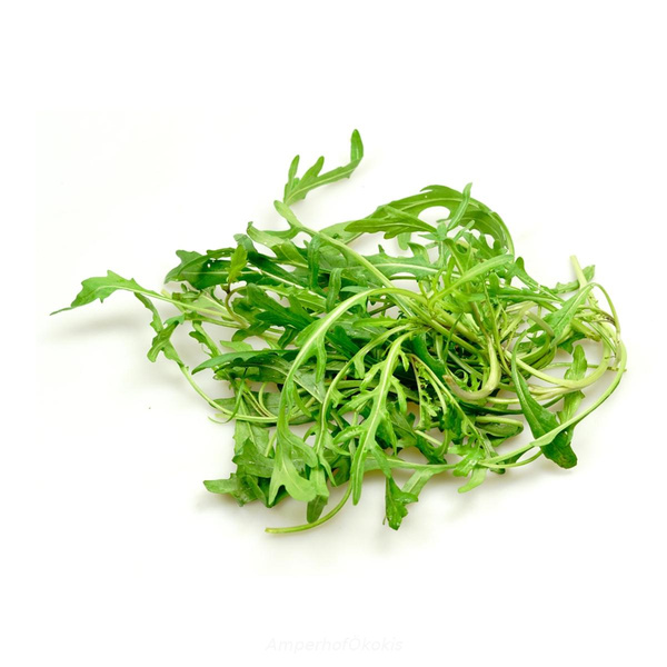 Produktfoto zu Rucola Bund