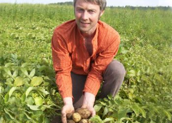 Alexander Fuchs zeigt seinen Stolz: Kartoffeln