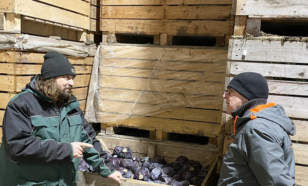 Vom Blaukraut 2024 blieben nur 15% verwertbar