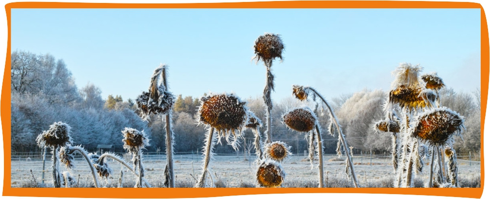 Kundenbrief als PDF öffnen