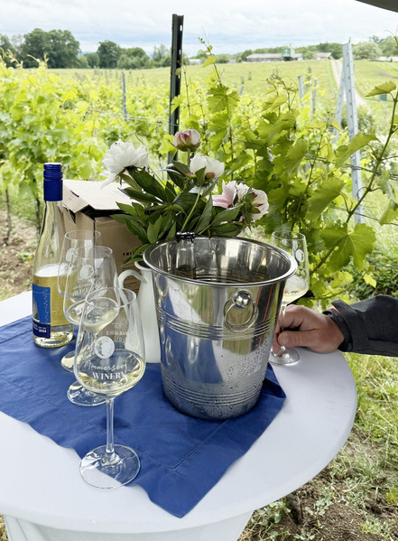 Secco-Verkostung auf dem Weinberg