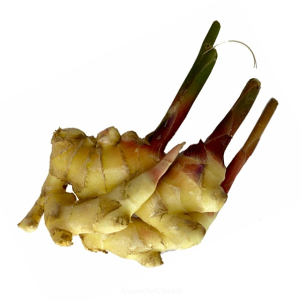 Produktfoto zu Ingwer frisch regional ca. 100g