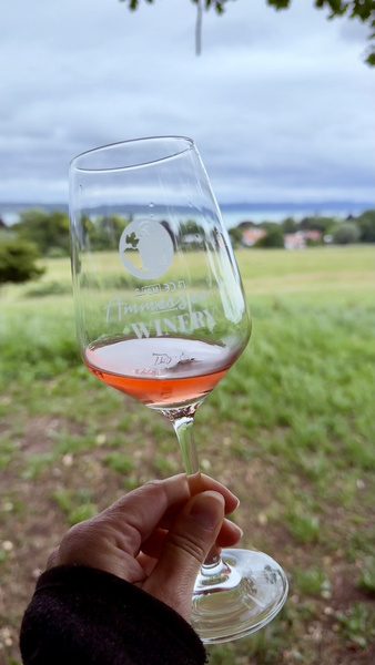 Secco rosé am See