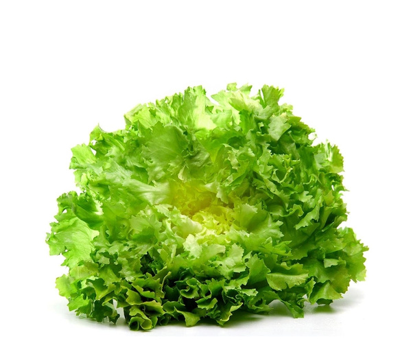 Endivie