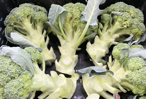 Wie Packer den Brokkoli sehen: Wurde so geliefert!