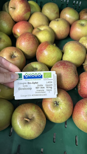 Boskoop