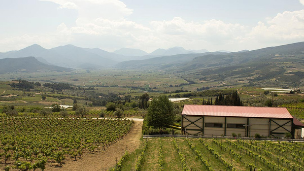 Essigspezialitäten von der Peloponnes.