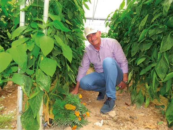 David Samper Martinez - Gründer von Campo7 -  im Gewächshaus