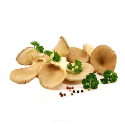 Produktfoto zu Austernpilze ca. 200g