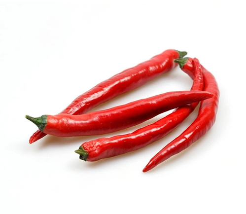 Roter Chili Jalapeno