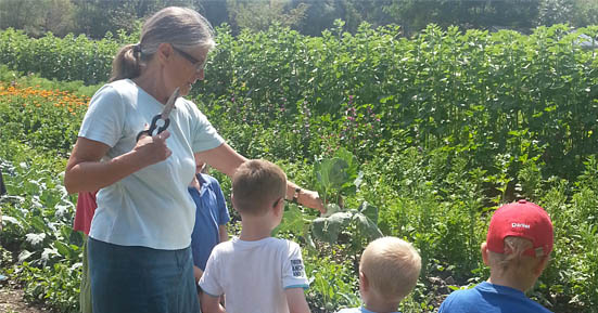 Enkeltauglichkeit: Am Amperhof können Schulklassen die Salate auf dem Feld wachsen sehen und für eine Brotzeit selbst schneiden.
