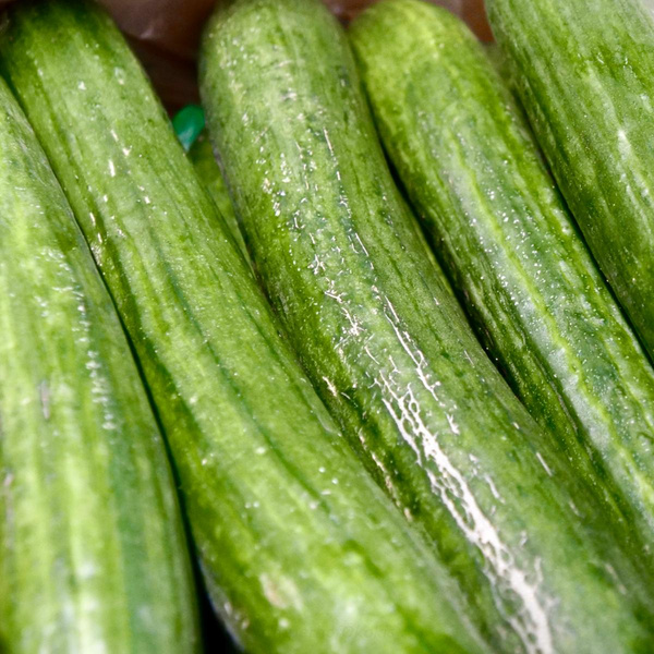 Produktfoto zu Schlangengurken Kiste 12 Stück