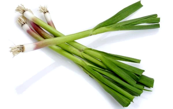 Frischer Knoblauch