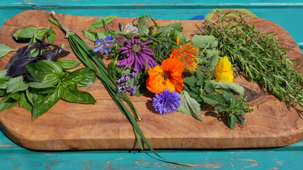 Viele bunte Kräuter und essbare Blüten vom Amperhof