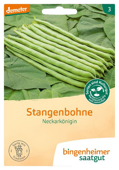 Produktfoto zu Saat: Stangenbohne Neckarkönigin