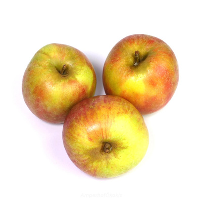 Produktfoto zu Apfel Holsteiner Cox