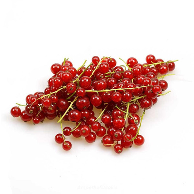 Produktfoto zu Rote Johannisbeeren ca. 250g