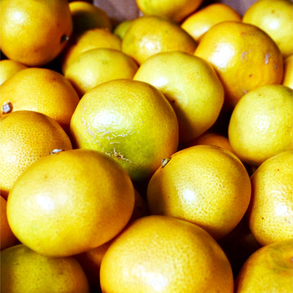 product photo for Clementinen 6 kg Kiste