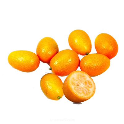 Produktfoto zu Kumquat