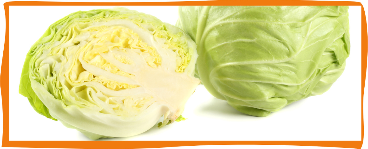 KI generiert: Ein ganzer und ein halber grüner Kohl auf weißem Hintergrund.