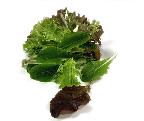 KI generiert: Ein Bündel gemischter Salatblätter auf weißem Hintergrund.