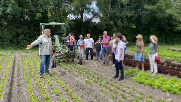 KI generiert: Eine Gruppe von Menschen besichtigt einen landwirtschaftlichen Betrieb im Freien.