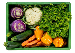 Produktfoto zu Frisch vom Feld Kiste mittel