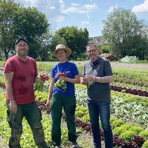 Beim Fritzhof in Hallbergmoos auf dem Rosenkohlfeld