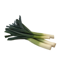 Lauch