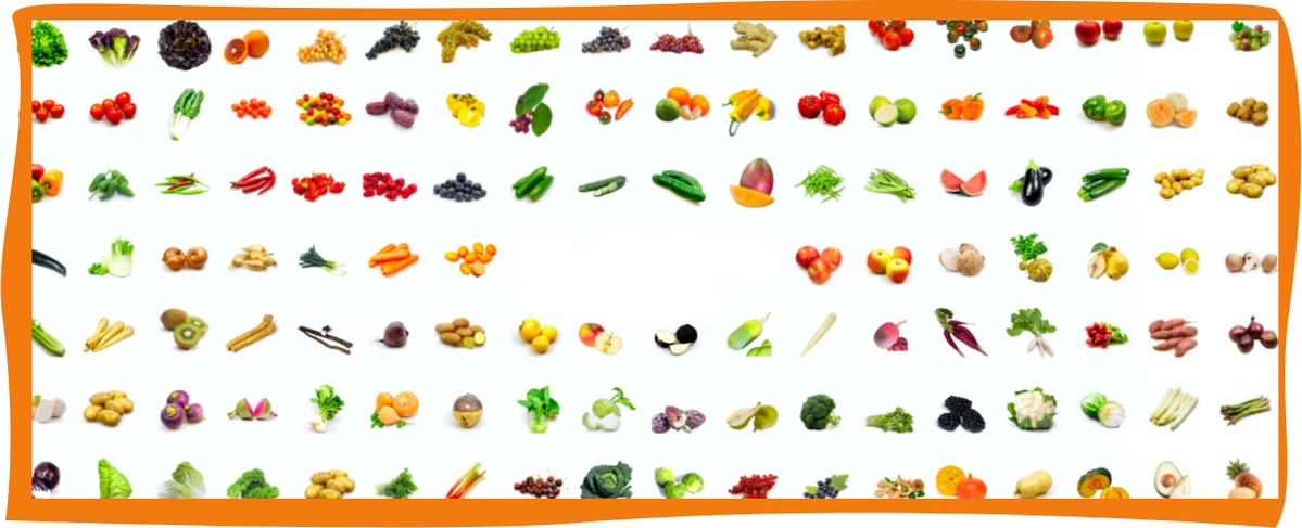 KI generiert: Das Bild zeigt eine Vielzahl von Obst- und Gemüsesorten in mehreren Reihen angeordnet. Der Hauptinhalt ist die bunte Vielfalt frischer Lebensmittel.