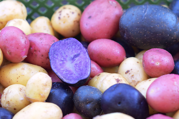 Bunte Kartoffeln!