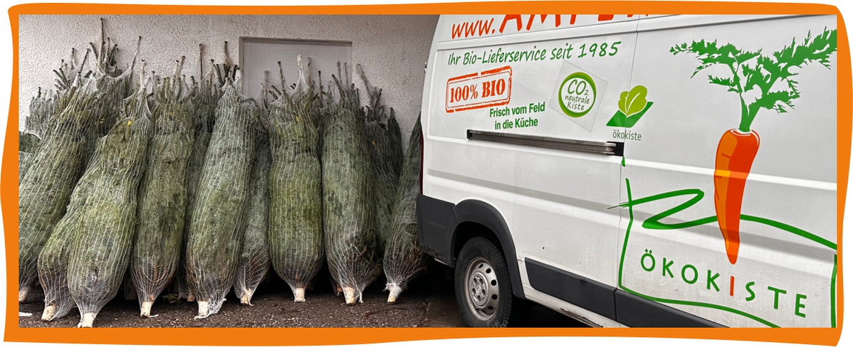 KI generiert: Das Bild zeigt mehrere zusammengebundene Weihnachtsbäume, die an eine Wand gelehnt sind, neben einem Lieferwagen mit dem Aufdruck "Ökokiste" und "100% BIO".