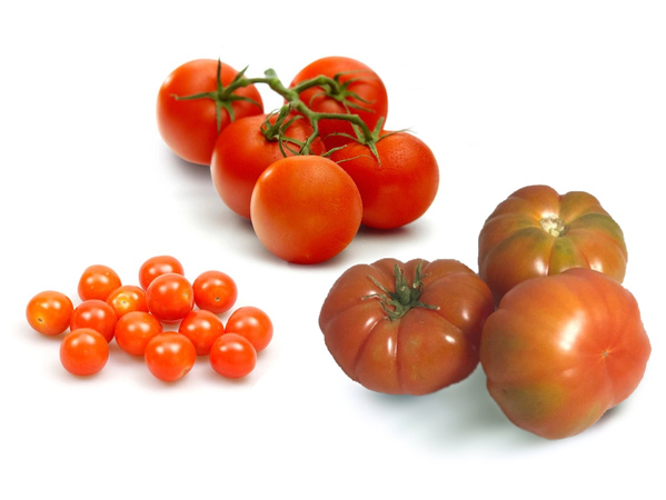 KI generiert: Verschiedene Tomatensorten: Cherry-Tomaten, runde Tomaten und große, gerippte Tomaten auf weißem Hintergrund.