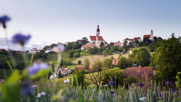 Der traditionsreiche und seit 2018 biozertifizierte Obstbau und Feinveredelungsbetrieb der Familie Neumeister liegt in Straden in der Steiermark am Ostrand des Steirischen Beckens.