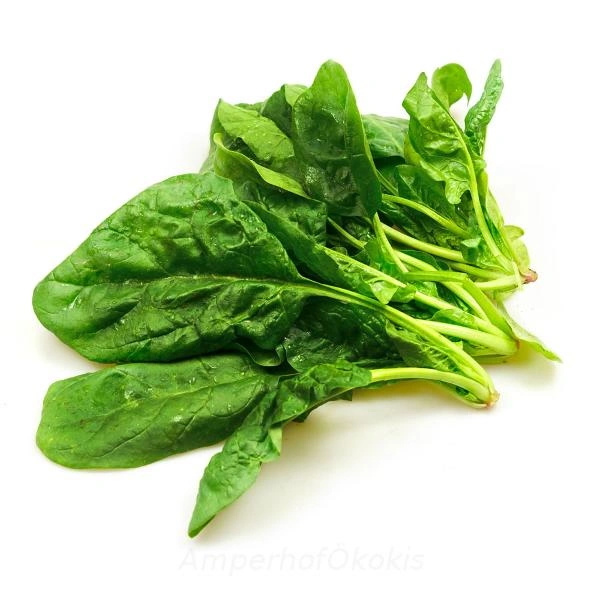 KI generiert: Frischer Spinat auf weißem Hintergrund. Text: "Amperhof Ökokis".
