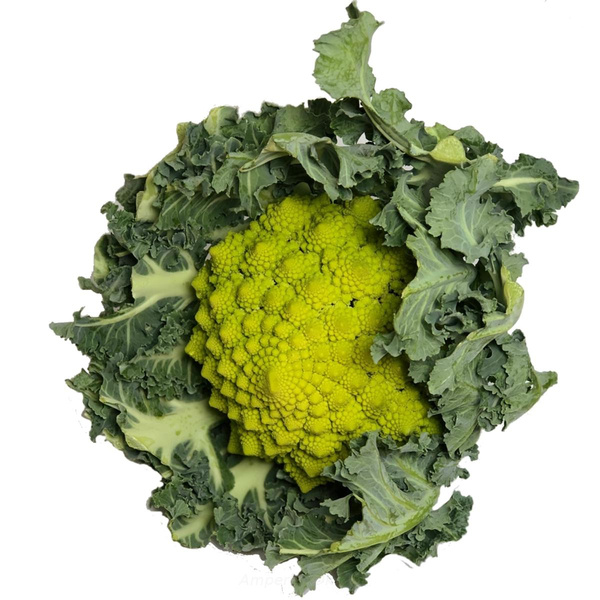 Produktfoto zu Romanesco