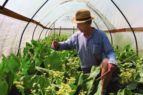 Saatgutarbeit am Obergrashof