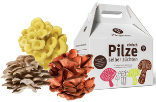 Pilzkit