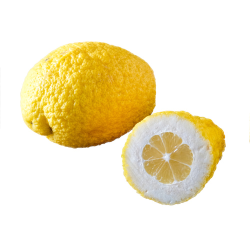 Cedro Zitrone