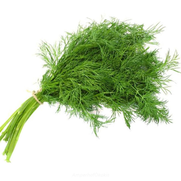Produktfoto zu Dill Bund