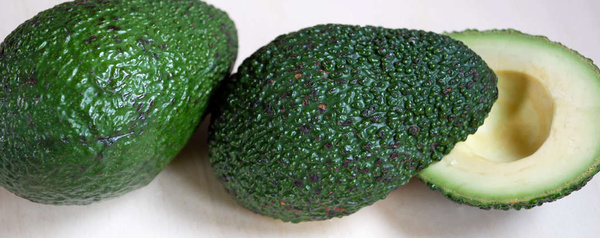 Avocado