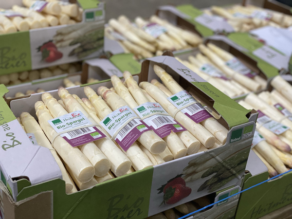 KI generiert: Kisten mit Bio-Spargel in einem Geschäft. Text: "HofBio", "Bio-Spargel", "Bioland".