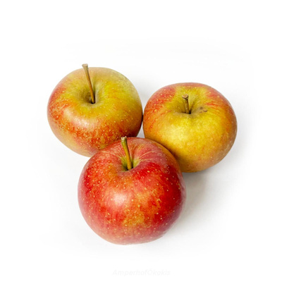 Produktfoto zu Apfel Wellant