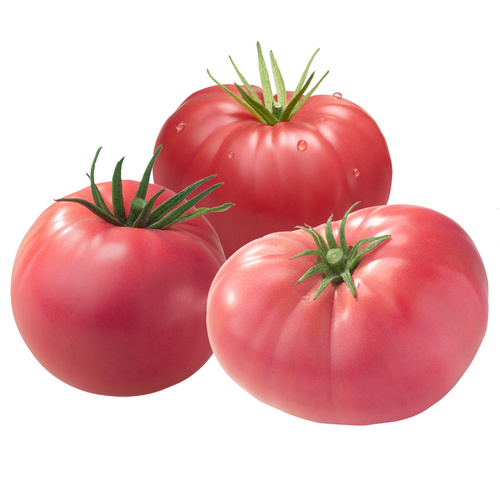 KI generiert: Drei ganze Tomaten und zwei Tomatenscheiben auf weißem Hintergrund.